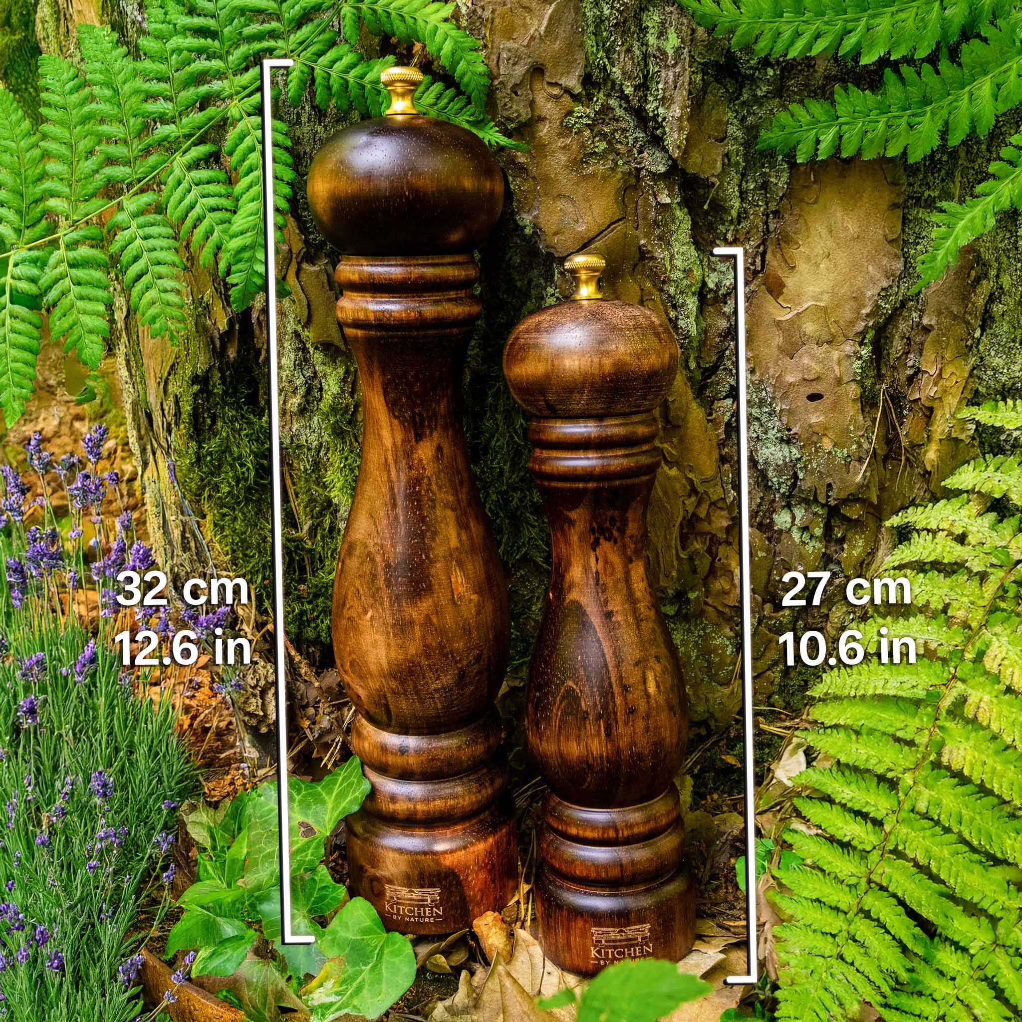 Section Image